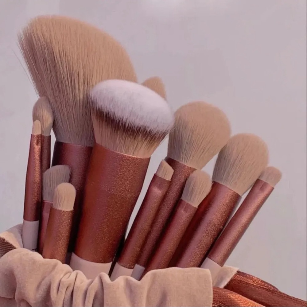 Makeup brush 13 pieces with sizes and shapes